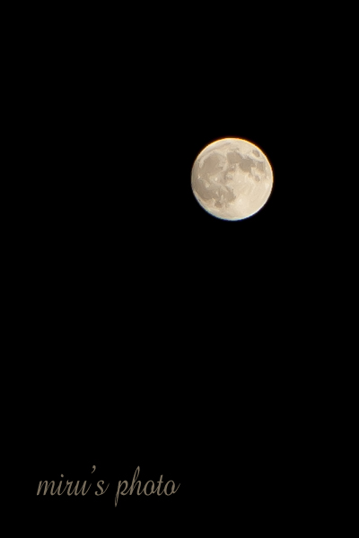 c0037519_20243235.jpg