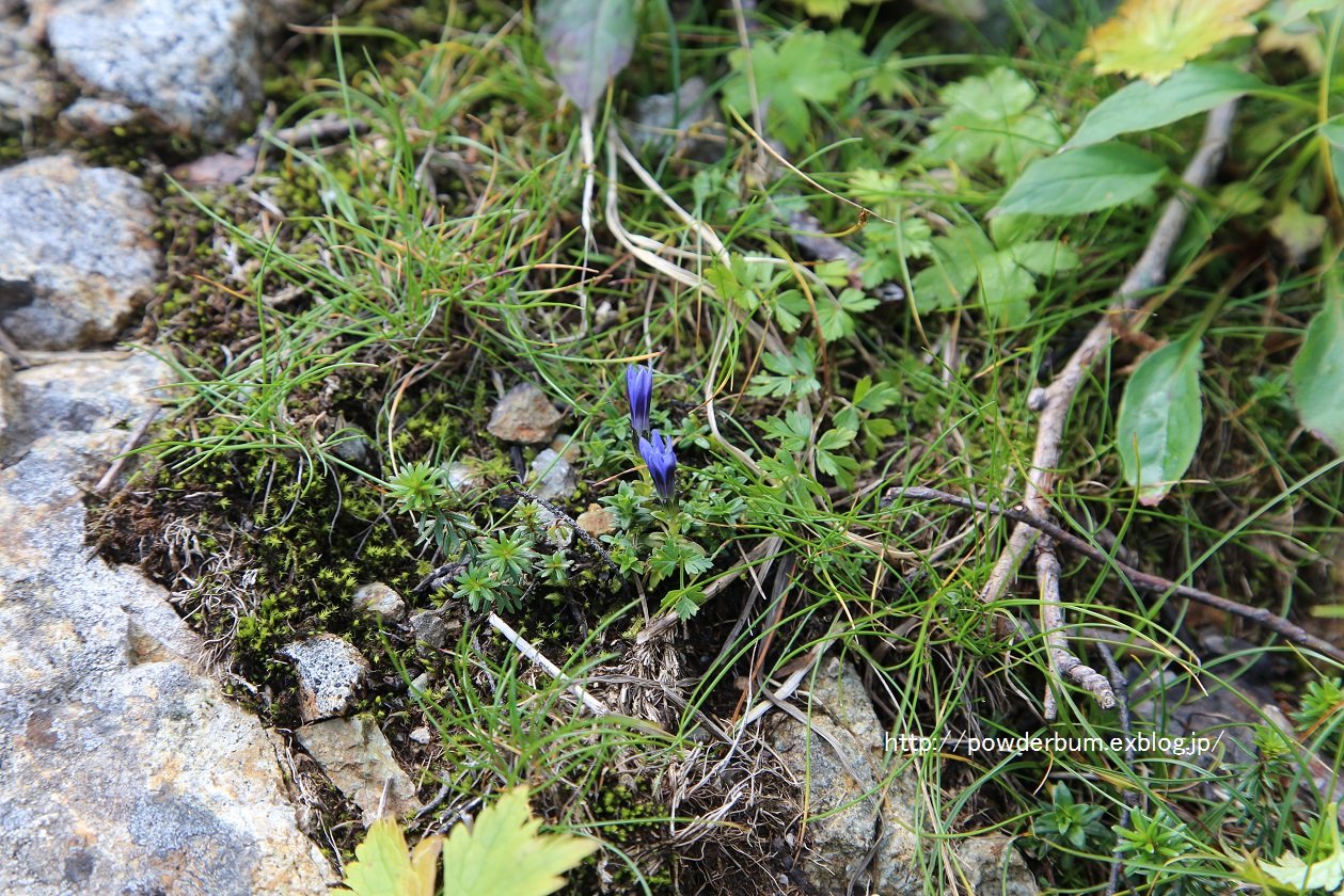 b0062024_9115321.jpg