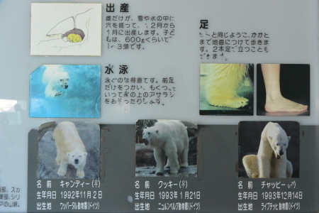 f0344626_00323713.jpg