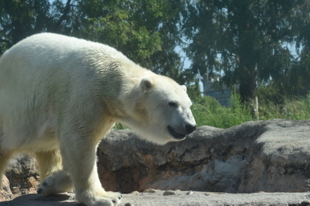 f0344626_00345088.jpg