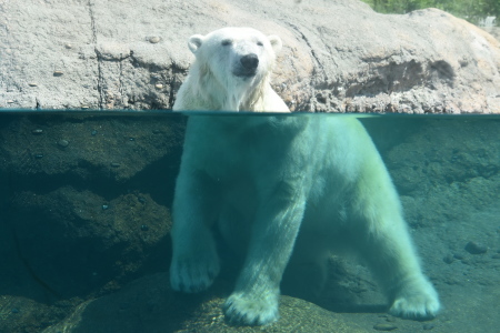 f0344626_00412610.jpg