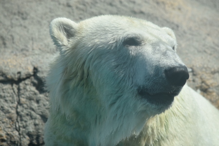 f0344626_00414545.jpg