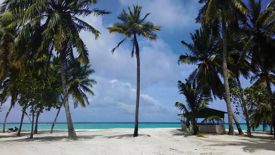 a0284528_20284656.jpg
