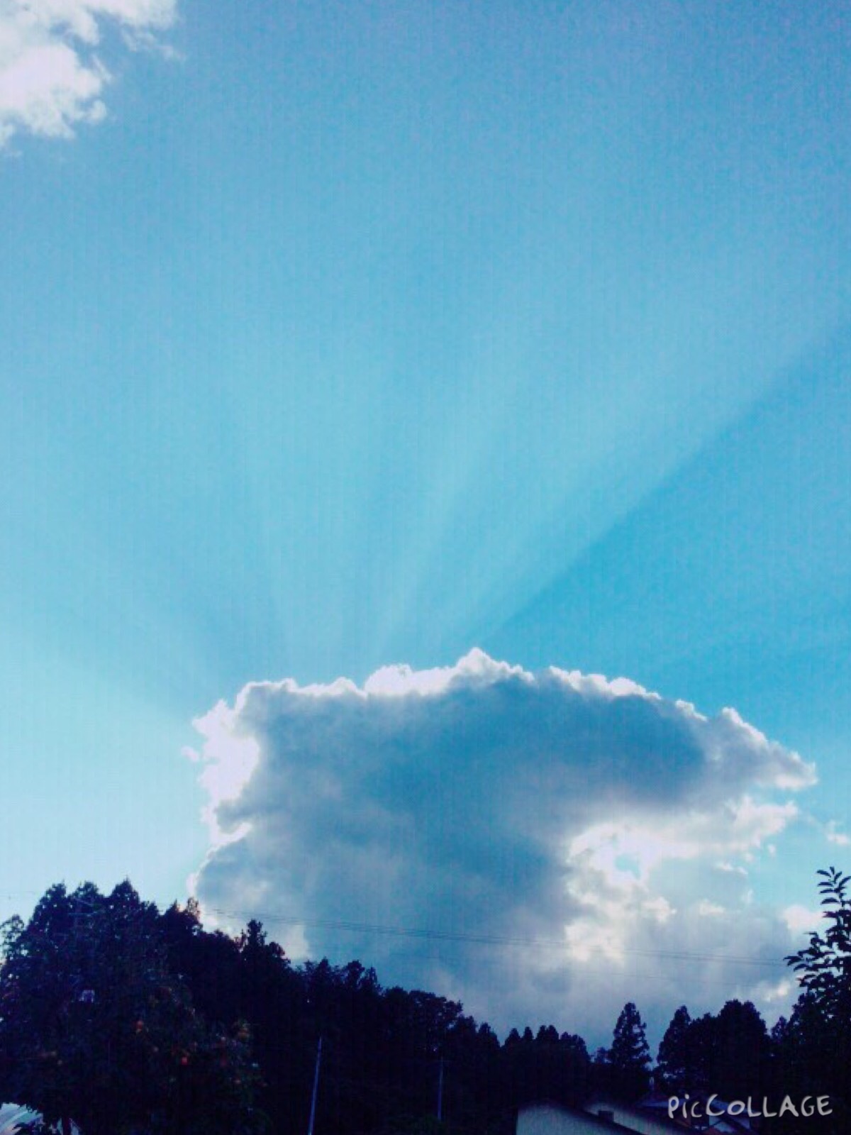 c0364428_23442109.jpg