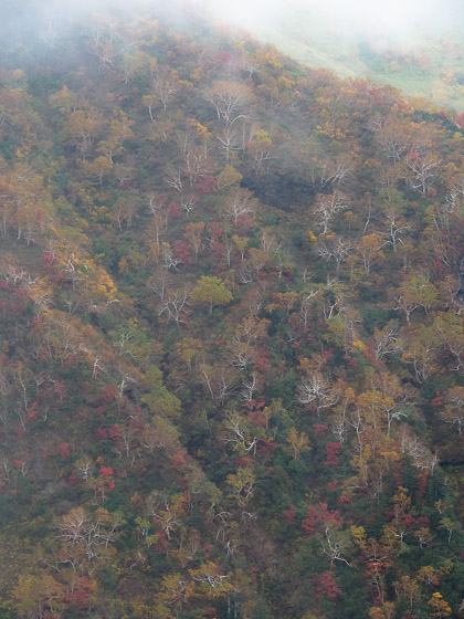 e0025030_19115461.jpg