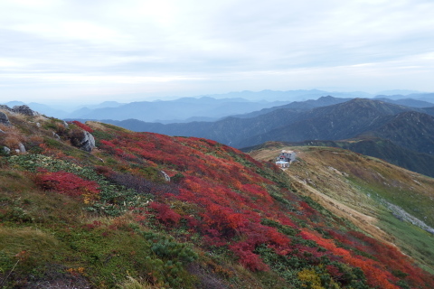 f0118332_00172849.jpg