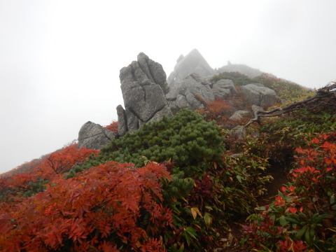 f0118332_00345966.jpg