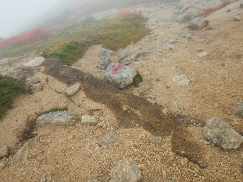f0118332_00352212.jpg