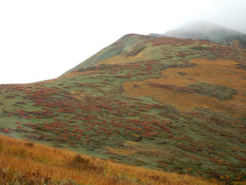 f0118332_00405408.jpg