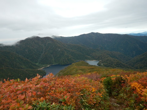 f0118332_00411455.jpg