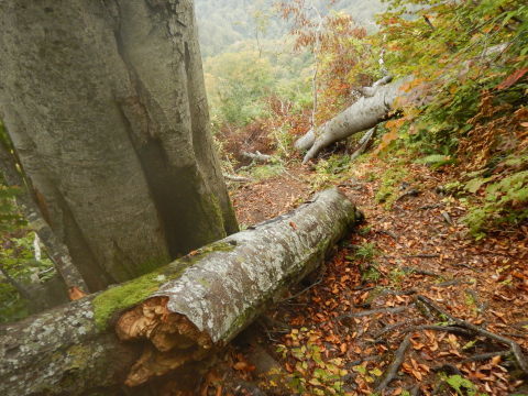 f0118332_00413838.jpg