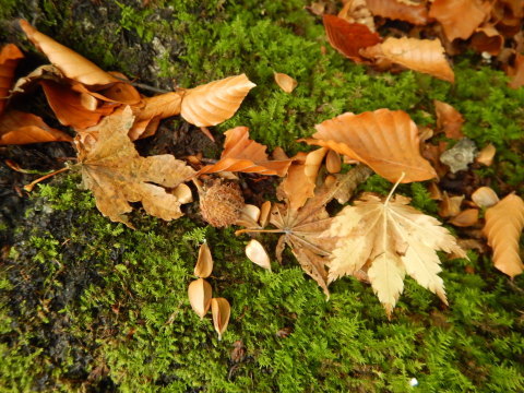 f0118332_00431703.jpg