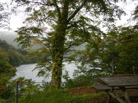 f0118332_00444248.jpg