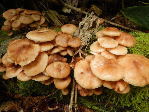 f0118332_01131945.jpg