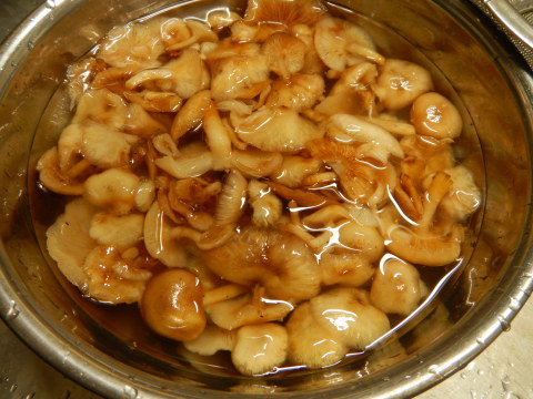 f0118332_01145931.jpg