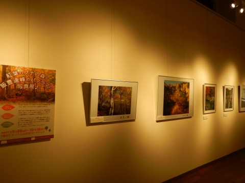 f0118332_22430405.jpg