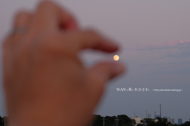 d0289733_21552910.jpg
