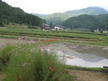 c0077338_19281118.jpg