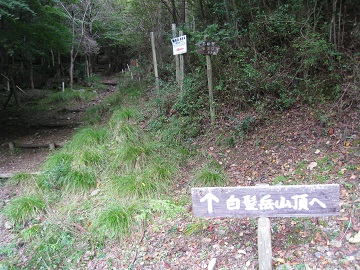 c0077338_19284877.jpg