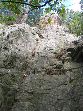 c0077338_1929121.jpg