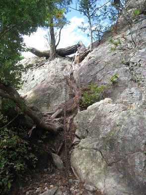 c0077338_19291334.jpg