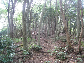 c0077338_19294889.jpg