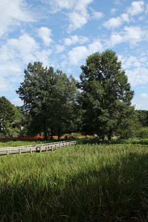 c0148238_1343685.jpg