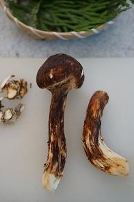 f0142141_8503112.jpg