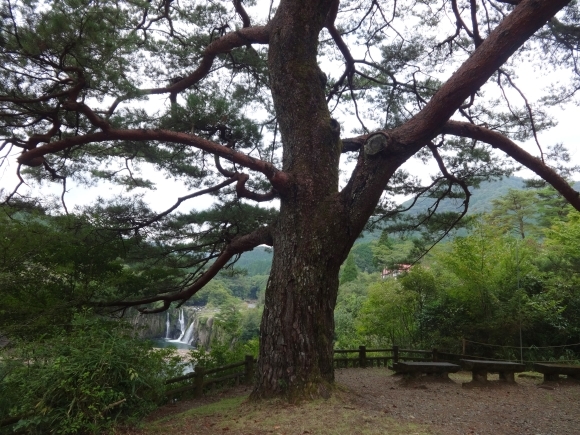 d0231942_08394735.jpg