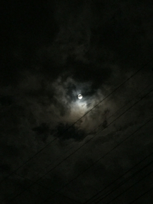 c0226445_23374629.jpg