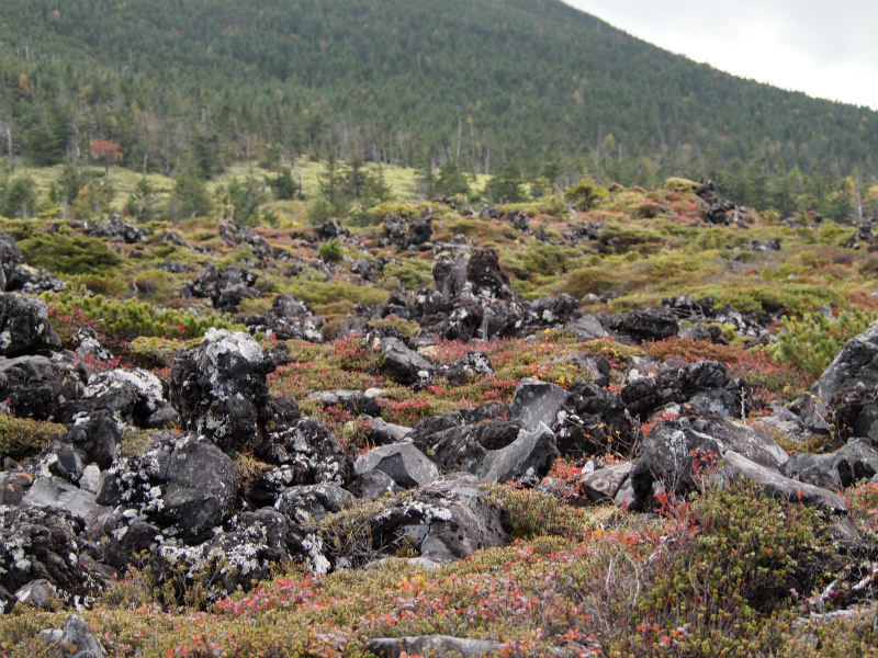 c0201450_22571633.jpg