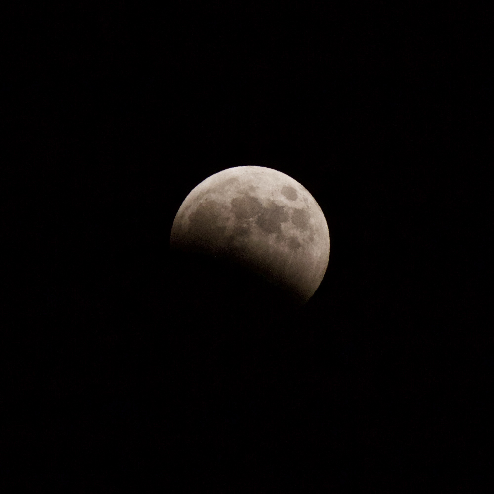 a0226258_12064443.jpg