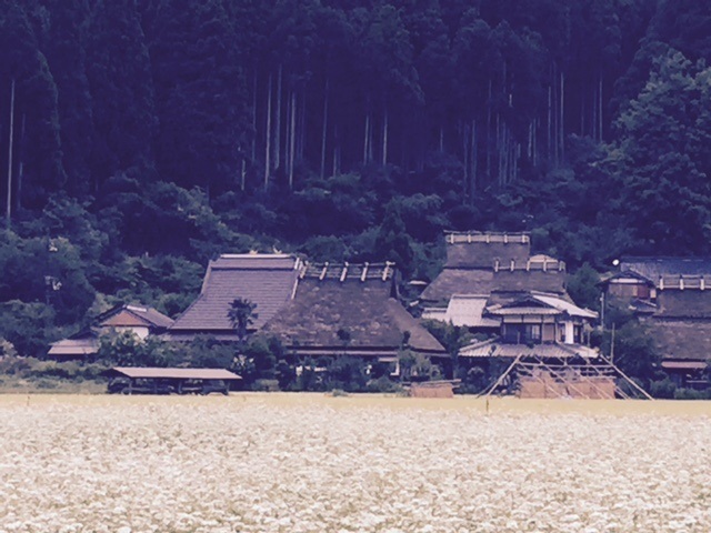 b0186959_1421834.jpg