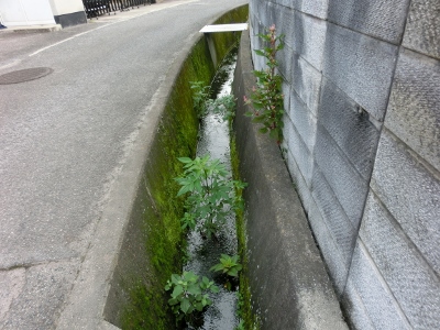 c0328559_15475568.jpg
