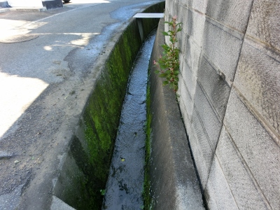 c0328559_15481461.jpg