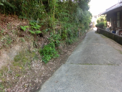 c0328559_1553827.jpg