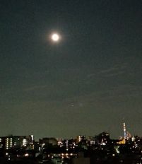 d0034659_2047949.jpg
