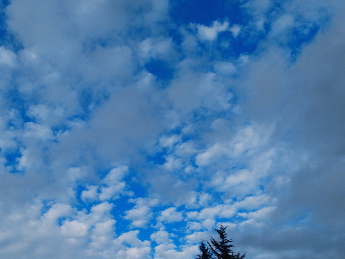 e0212759_15522747.jpg