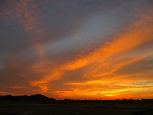 c0114063_1723469.jpg