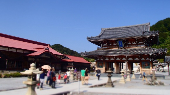 b0050067_12531452.jpg