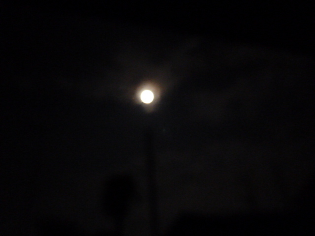 e0278968_23110695.jpg