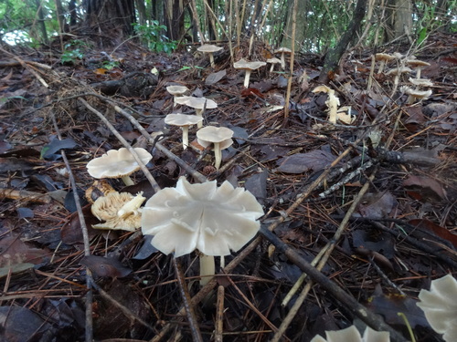 f0231573_2015059.jpg