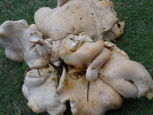 f0231573_20242288.jpg