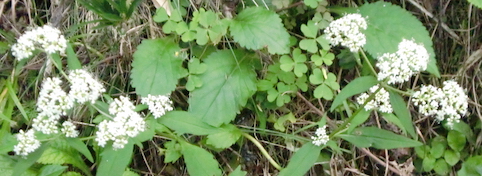 a0234877_9572466.jpg