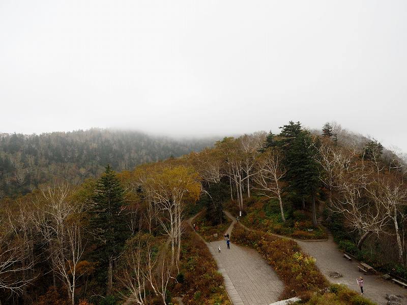 c0183777_1055082.jpg