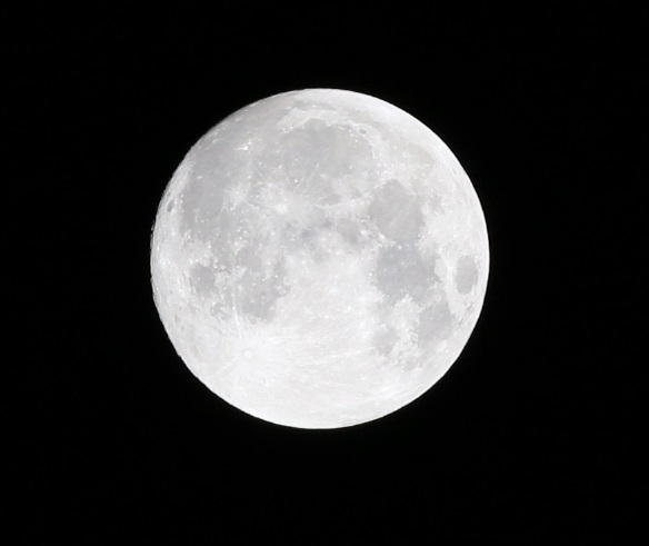 b0003280_22403087.jpg