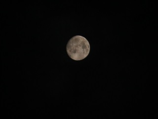 e0130185_15172763.jpg