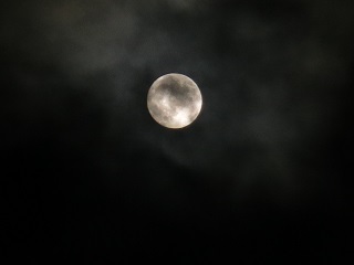 e0130185_2031057.jpg