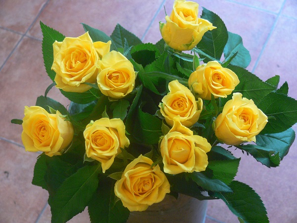 e0140986_1118573.jpg