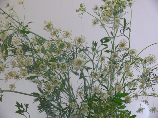 e0140986_11241130.jpg